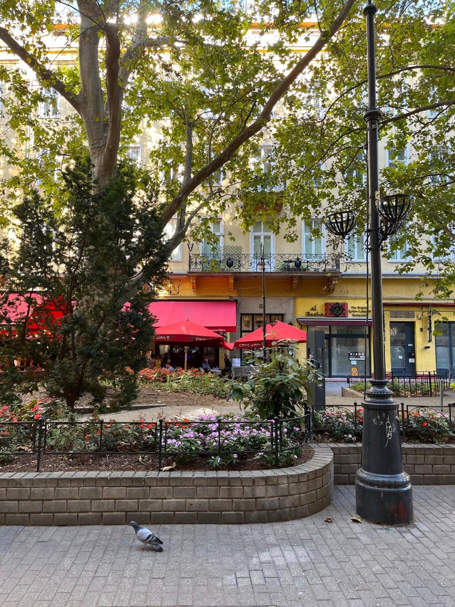 Elena Suite Budapest Exteriör bild